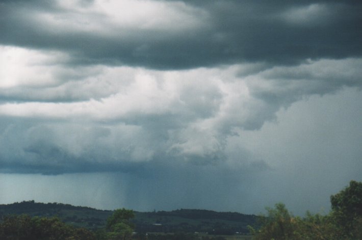 raincascade precipitation_cascade : Parrots Nest, NSW   5 January 2000