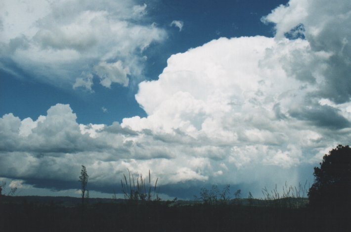 thunderstorm cumulonimbus_incus : McLeans Ridges, NSW   5 January 2000