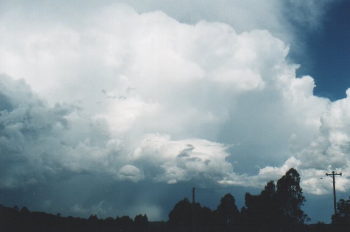 cumulonimbus supercell_thunderstorm : McLeans Ridges, NSW   5 January 2000