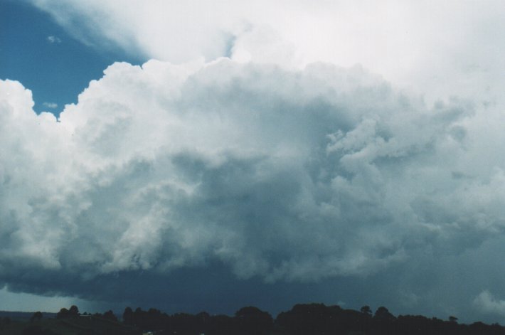 cumulonimbus supercell_thunderstorm : McLeans Ridges, NSW   5 January 2000