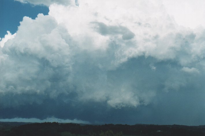 favourites michael_bath : McLeans Ridges, NSW   5 January 2000