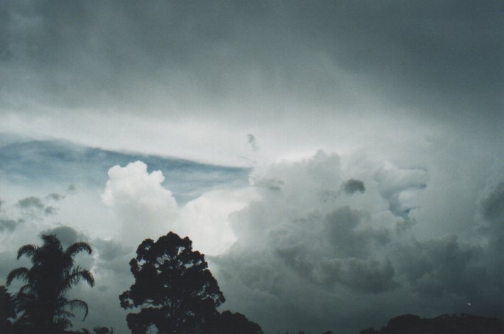 thunderstorm cumulonimbus_incus : Wollongbar, NSW   12 January 2000