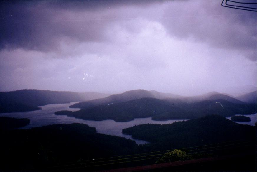 contributions received : Lower Beechmont, QLD<BR>Photo by Matthew Saxby   13 January 2000