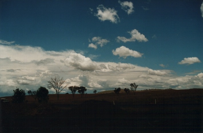 cumulus mediocris : S of Uralla, NSW   17 January 2000