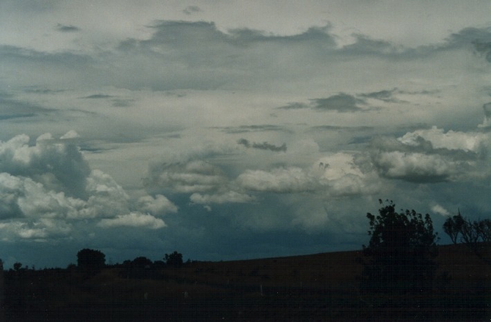 cumulus mediocris : S of Uralla, NSW   17 January 2000