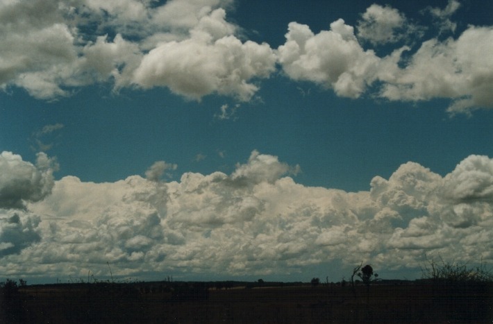 thunderstorm cumulonimbus_incus : S of Uralla, NSW   17 January 2000