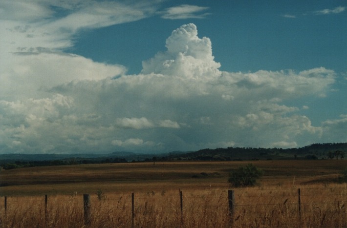 thunderstorm cumulonimbus_incus : Glen Innes, NSW   17 January 2000