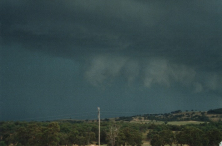 cumulonimbus thunderstorm_base : 30km W of Glen Innes, NSW   17 January 2000