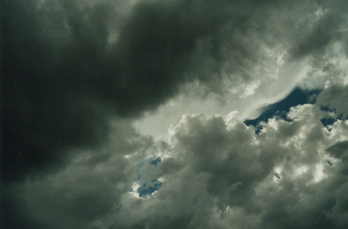 cumulonimbus thunderstorm_base : 30km W of Glen Innes, NSW   17 January 2000