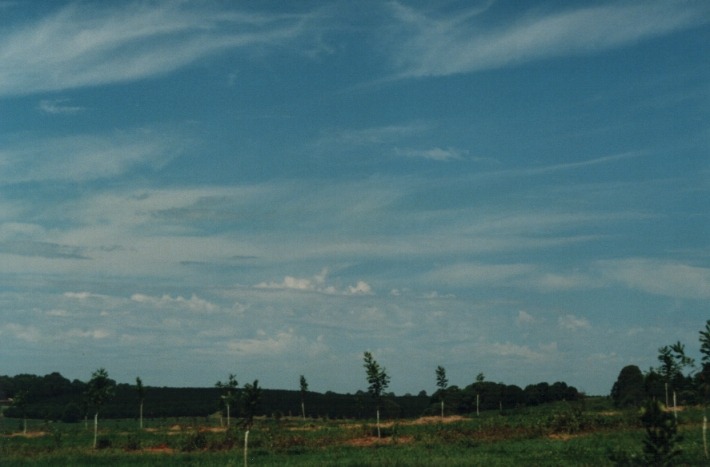 altocumulus castellanus : Rous near Lismore, NSW   21 January 2000