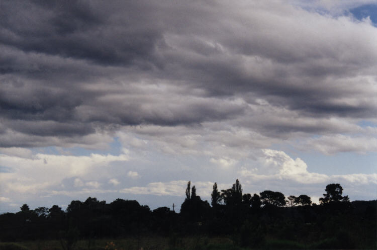 contributions received : Penrith area, NSW<BR>Photo by Jeff Brislane   9 March 2000