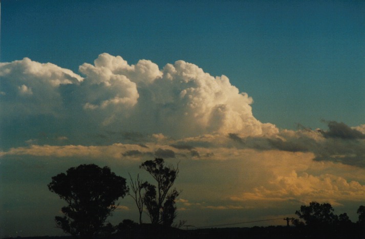 updraft thunderstorm_updrafts : Schofields, NSW   9 March 2000