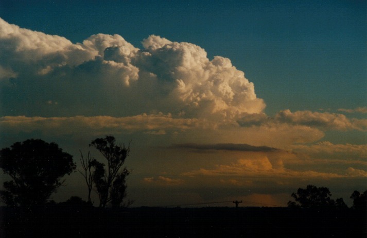 wallcloud thunderstorm_wall_cloud : Schofields, NSW   9 March 2000