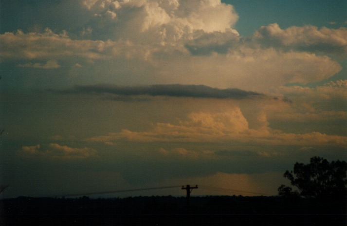 wallcloud thunderstorm_wall_cloud : Schofields, NSW   9 March 2000