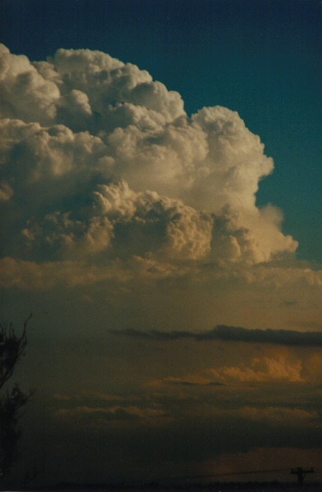 updraft thunderstorm_updrafts : Schofields, NSW   9 March 2000