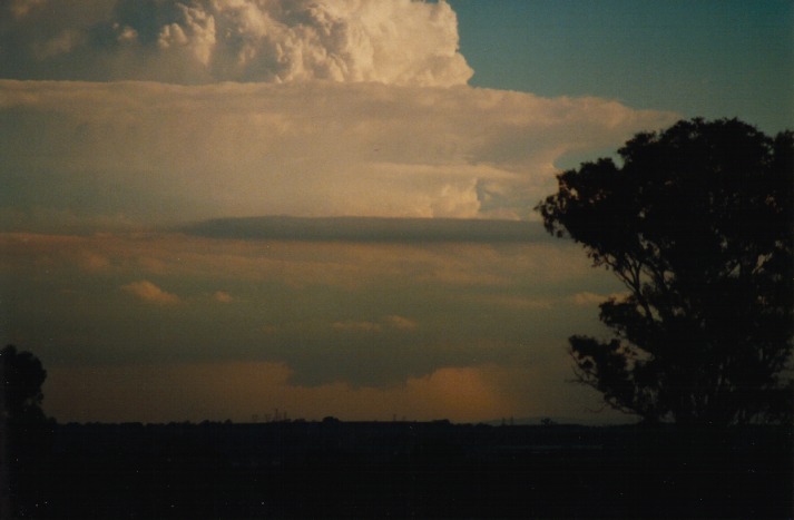 updraft thunderstorm_updrafts : Schofields, NSW   9 March 2000