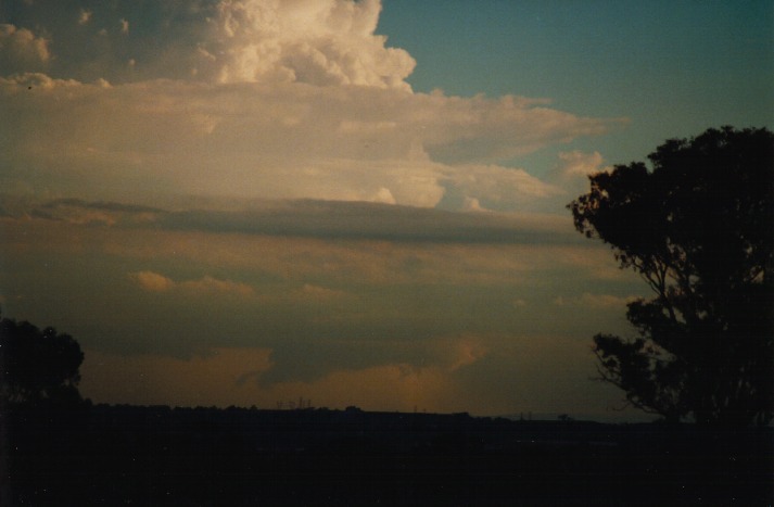 updraft thunderstorm_updrafts : Schofields, NSW   9 March 2000