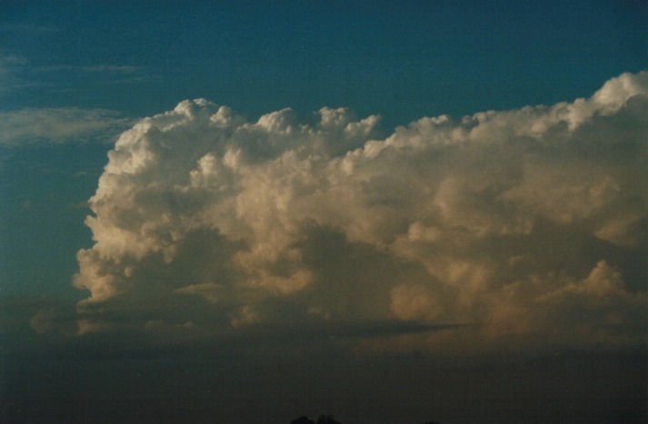 thunderstorm cumulonimbus_calvus : Schofields, NSW   14 March 2000