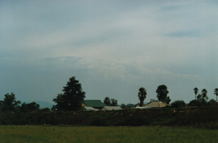 thunderstorm cumulonimbus_calvus : Denman, NSW   19 March 2000