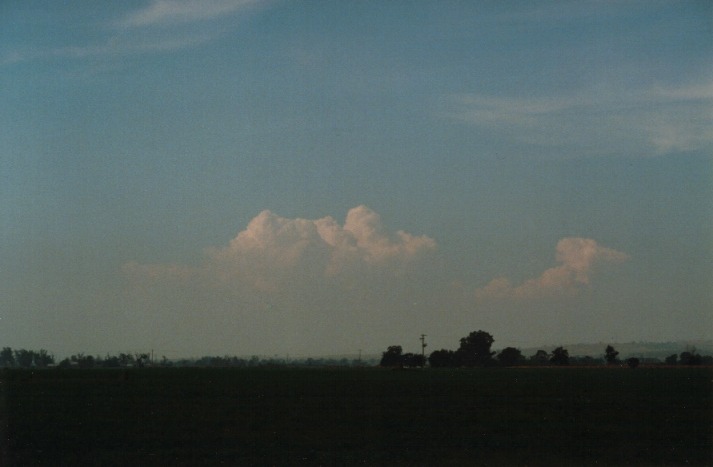 thunderstorm cumulonimbus_calvus : Denman, NSW   19 March 2000