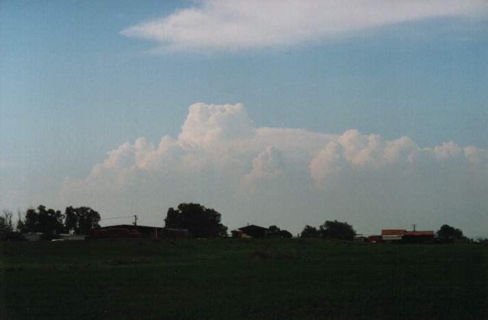 cirrus cirrus_cloud : Denman, NSW   19 March 2000