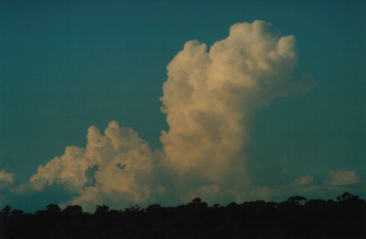 thunderstorm cumulonimbus_calvus : Schofields, NSW   15 April 2000