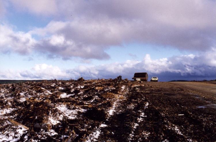 contributions received : Shooters Hill, NSW<BR>Photo by Jeff Brislane   27 May 2000