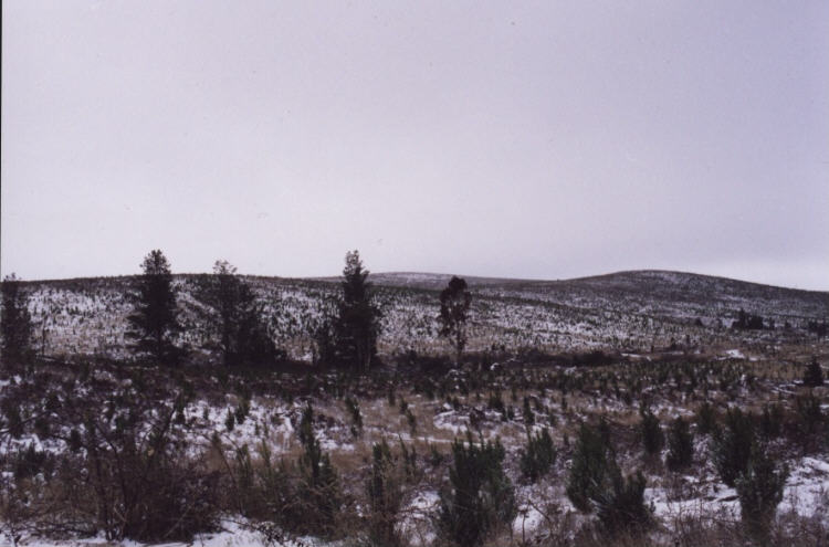 contributions received : Oberon region, NSW<BR>Photo by Jeff Brislane   28 May 2000