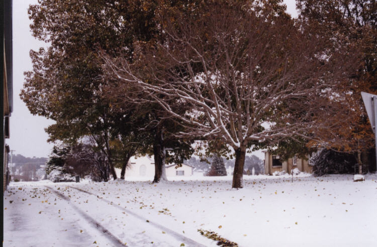 contributions received : Oberon, NSW<BR>Photo by Jeff Brislane   29 May 2000