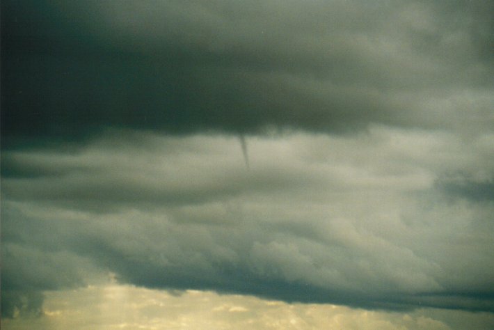 tornadoes funnel_tornado_waterspout : McLeans Ridges, NSW   16 June 2000