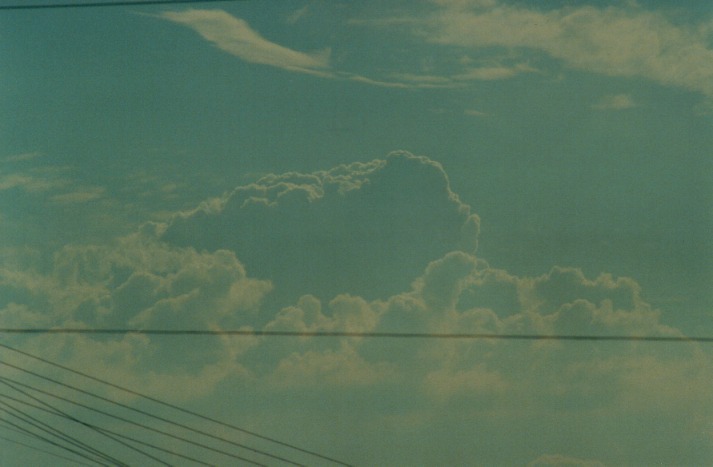 thunderstorm cumulonimbus_calvus : Schofields, NSW   18 June 2000