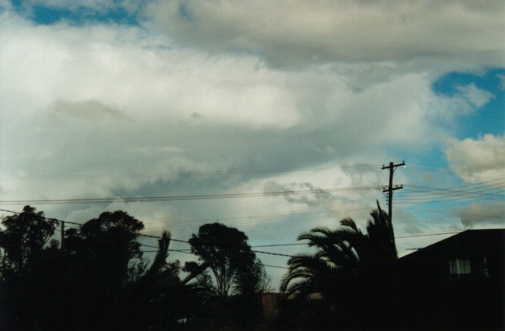 thunderstorm cumulonimbus_incus : Schofields, NSW   29 June 2000