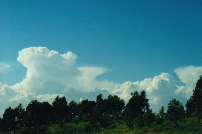 thunderstorm cumulonimbus_incus : McLeans Ridges, NSW   5 July 2000