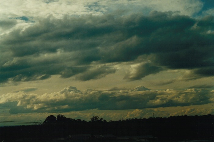 cumulus congestus : Schofields, NSW   7 July 2000