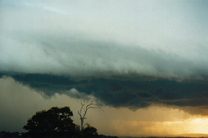 raincascade precipitation_cascade : McLeans Ridges, NSW   9 July 2000