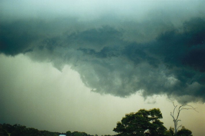 cumulonimbus thunderstorm_base : McLeans Ridges, NSW   9 July 2000