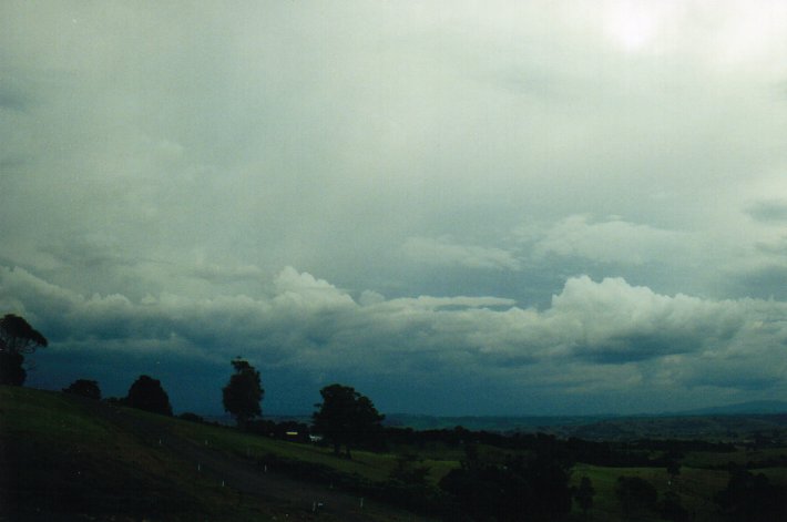 cumulonimbus thunderstorm_base : McLeans Ridges, NSW   10 July 2000