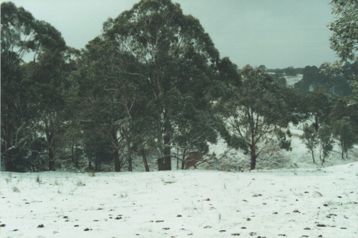 snow snow_pictures : Cherry Tree Hill, NSW   27 July 2000