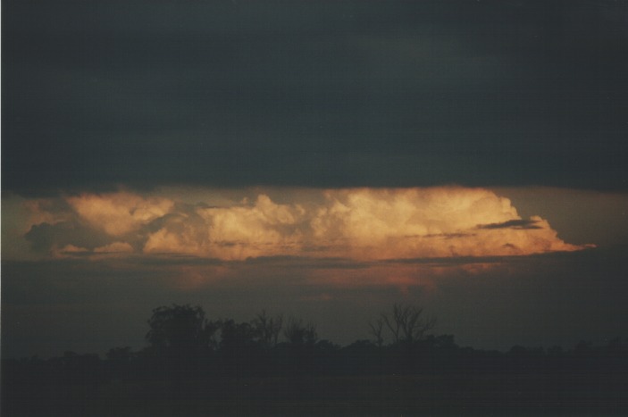 thunderstorm cumulonimbus_incus :    1 August 2000