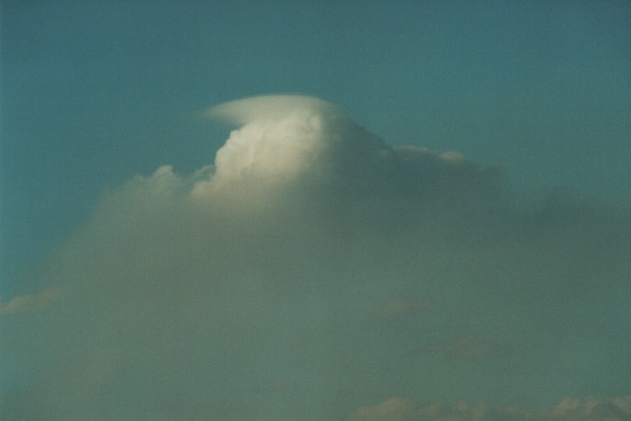 cumulus pyrocumulus : Schofields, NSW   19 August 2000