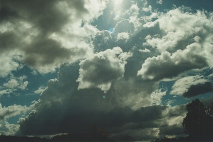 cumulus humilis : Howes Valley, NSW   20 August 2000