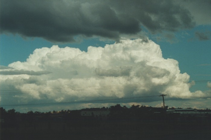 thunderstorm cumulonimbus_calvus : Muswellbrook, NSW   20 August 2000