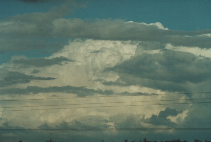 stratocumulus stratocumulus_cloud : Muswellbrook, NSW   20 August 2000