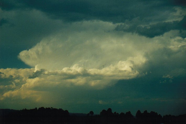 thunderstorm cumulonimbus_incus : McLeans Ridges, NSW   23 August 2000