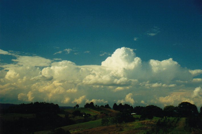 thunderstorm cumulonimbus_calvus : McLeans Ridges, NSW   23 August 2000