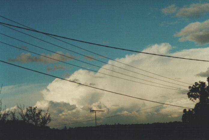 thunderstorm cumulonimbus_incus : Northbridge, NSW   28 August 2000