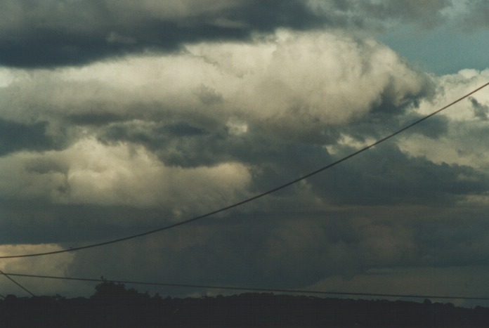 cumulonimbus thunderstorm_base : Northbridge, NSW   28 August 2000