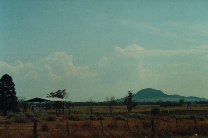 thunderstorm cumulonimbus_calvus : Gunnedah, NSW   21 September 2000