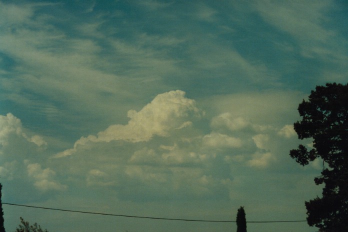 cirrus cirrus_cloud : Gunnedah, NSW   21 September 2000