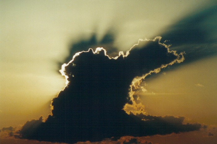 cumulus congestus : Appin, NSW   28 September 2000